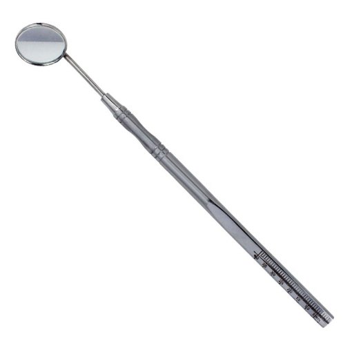 Mouth Mirror & Handles #10